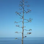 Il Miraggio Tanca Piras Σπίτι διακοπών Nebida