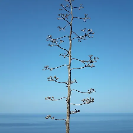 Il Miraggio Tanca Piras Feriehus Nebida